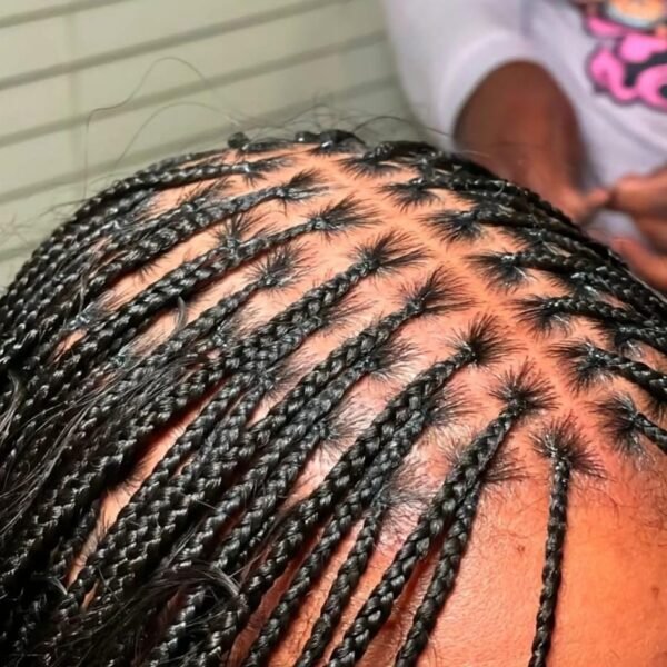 WhatsApp Image 2026 01 12 at 2 04 03 AM 600x600